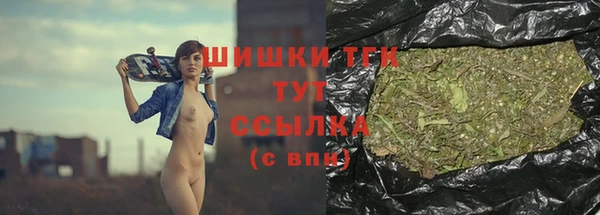 индика Саяногорск