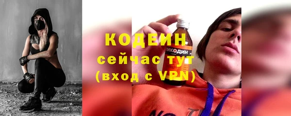 индика Саяногорск