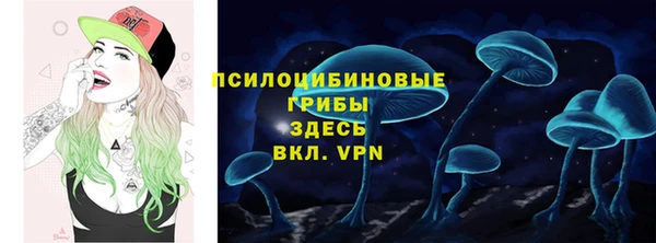 хмурый Сатка