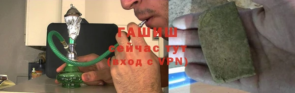 индика Саяногорск
