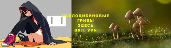 индика Саяногорск