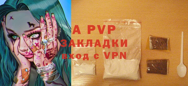 индика Саяногорск
