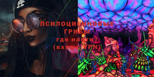 хмурый Сатка