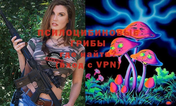 apvp Дрезна