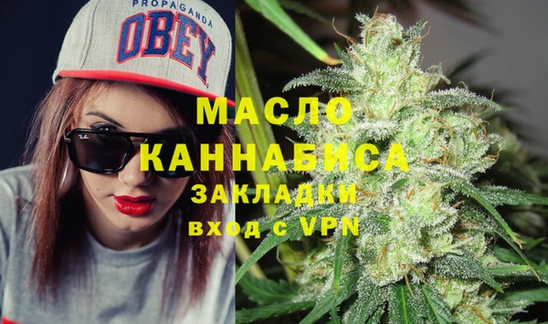индика Саяногорск