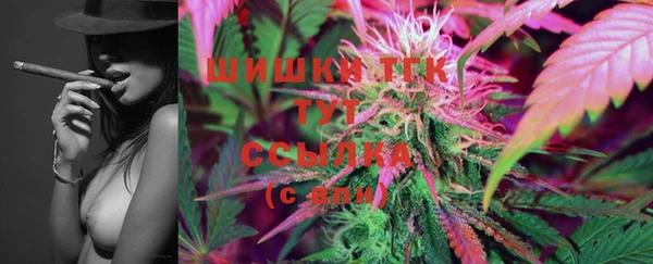 хмурый Сатка