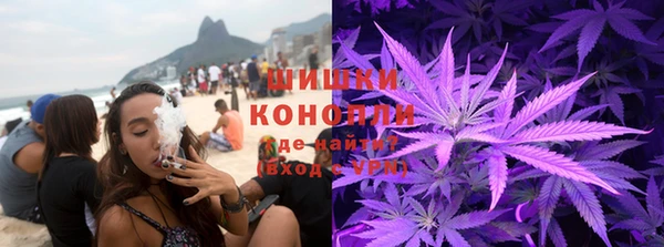 индика Саяногорск