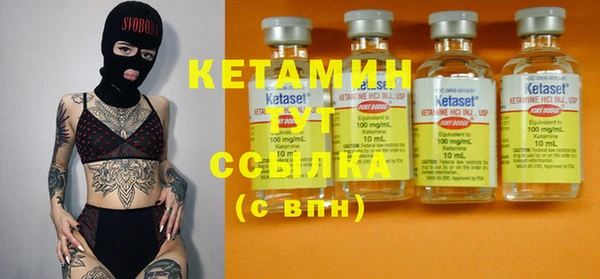 индика Саяногорск
